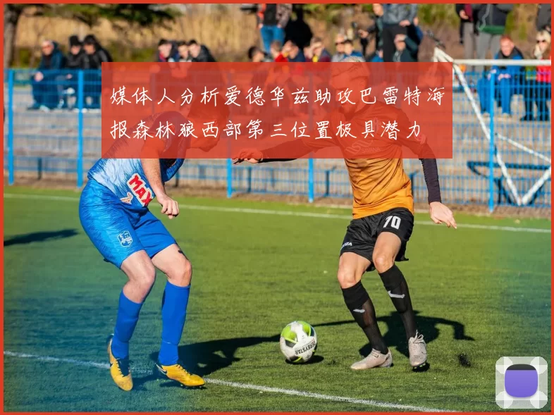 媒体人分析爱德华兹助攻巴雷特海报森林狼西部第三位置极具潜力